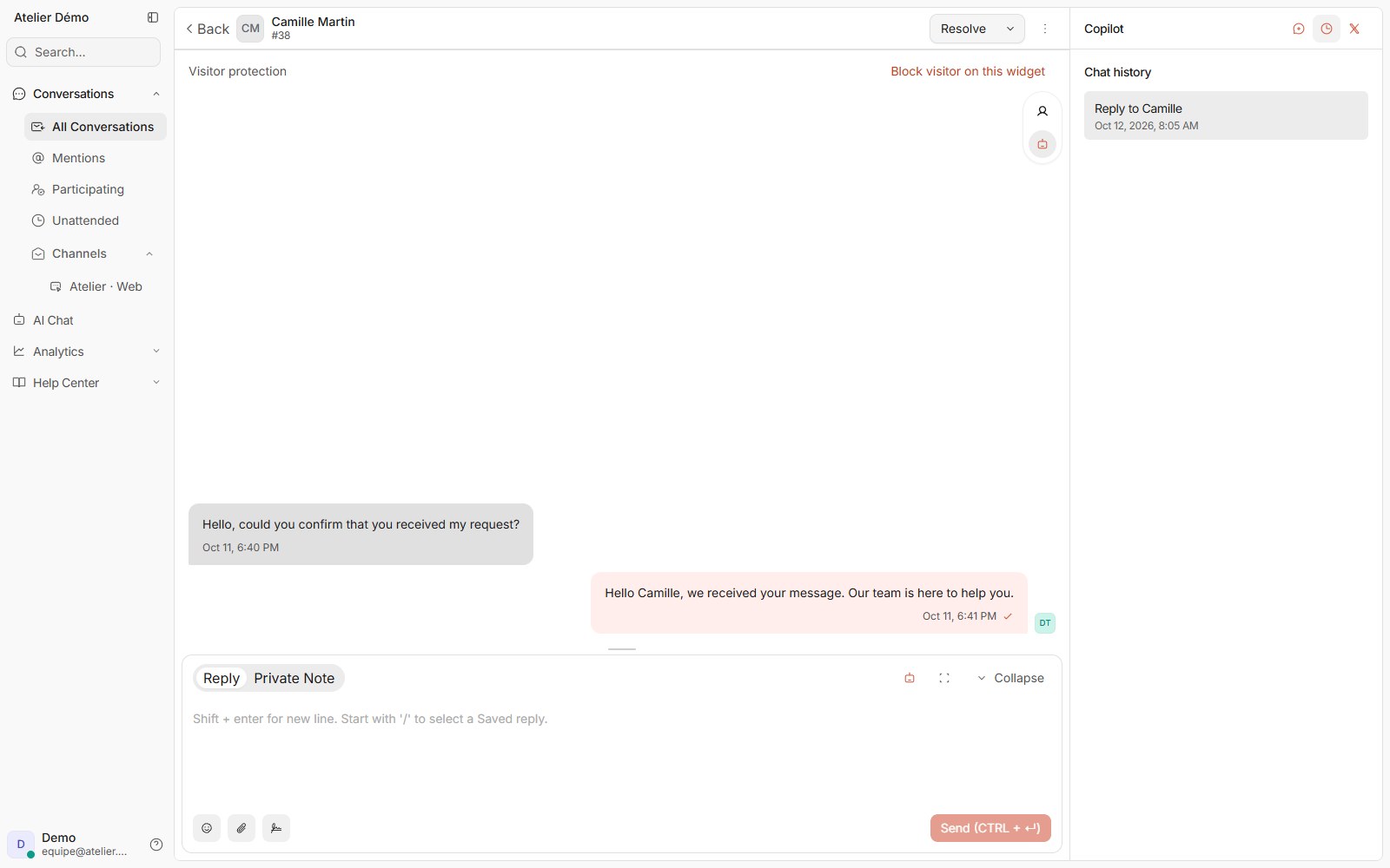 doue interface showing copilot history associated with a synthetic conversation.