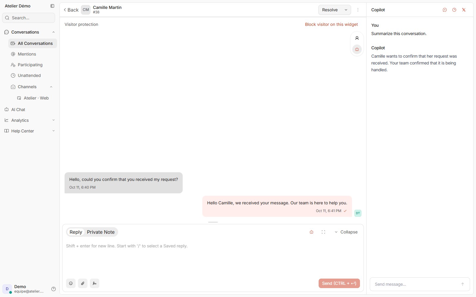 Compiled doue interface showing the copilot beside a conversation with demonstration data.