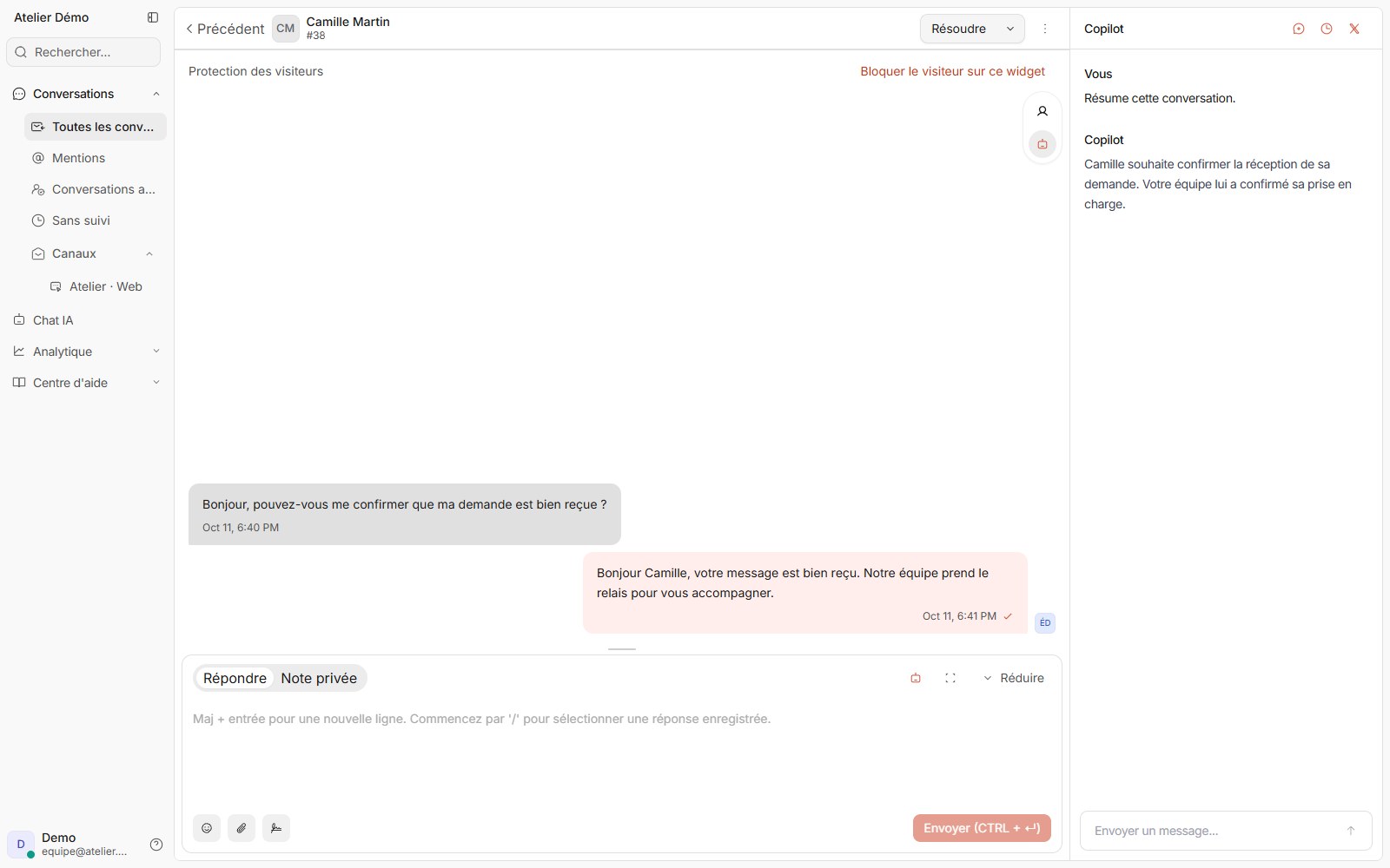 Interface compilée de doue montrant le copilote ouvert auprès d’une conversation avec des données de démonstration.