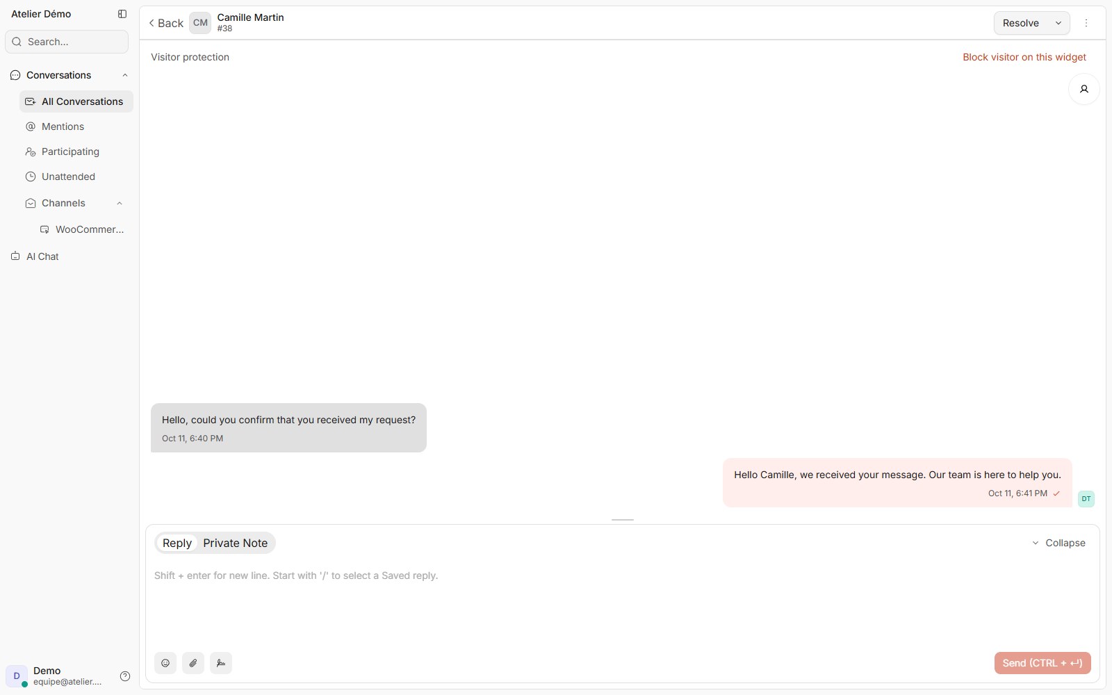 English WooCommerce demonstration conversation in doue, with a synthetic visitor message and a human reply.